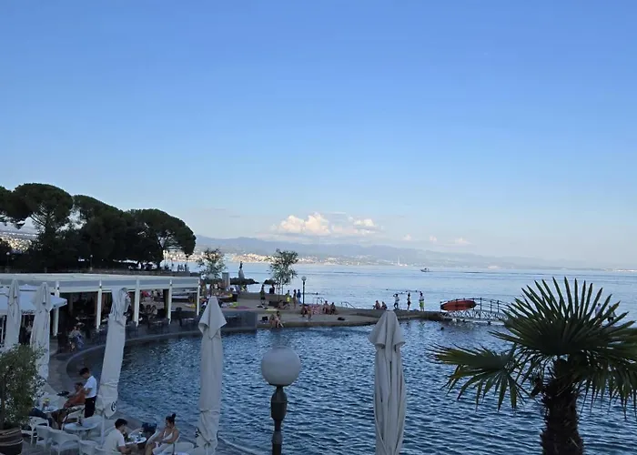 Kamelija - Center Minute To The Lejlighed