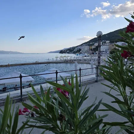 Kamelija - Center Minute To The *