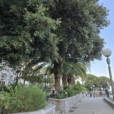 Kamelija - Center Minute To The Апартаменты *