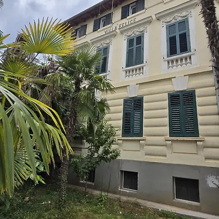 Kamelija - Center Minute To The * Опатия