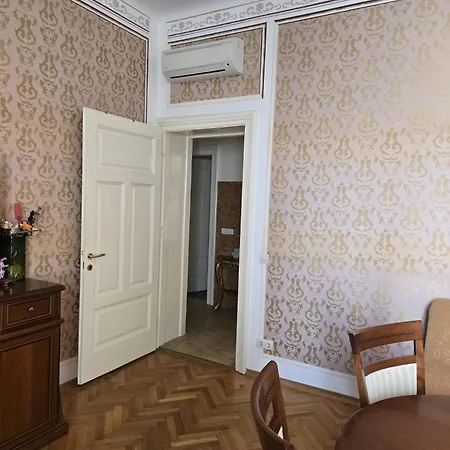 Kamelija - Center Minute To The Опатия