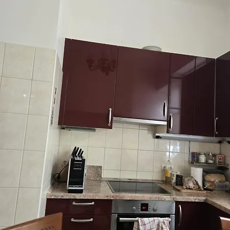 Kamelija - Center Minute To The *