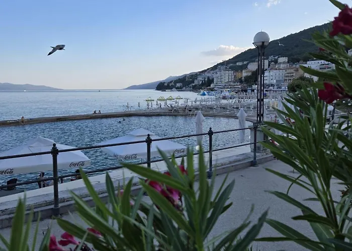 Kamelija - Center Minute To The *