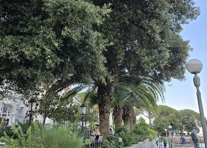 Kamelija - Center Minute To The Lägenhet *