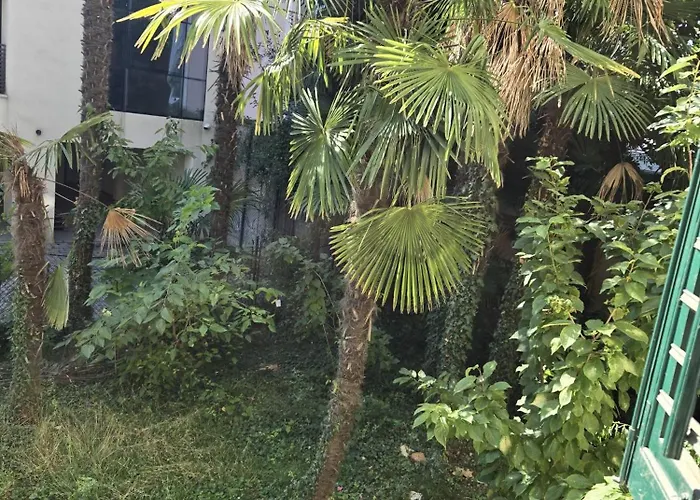 Lägenhet Kamelija - Center Minute To The