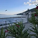 Kamelija - Center Minute To The *