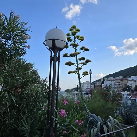 Daire Kamelija - Center Minute To The