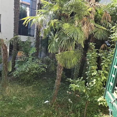 Daire Kamelija - Center Minute To The