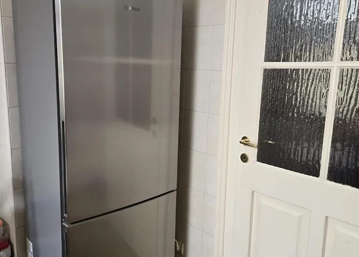 Kamelija - Center Minute To The Daire Opatija